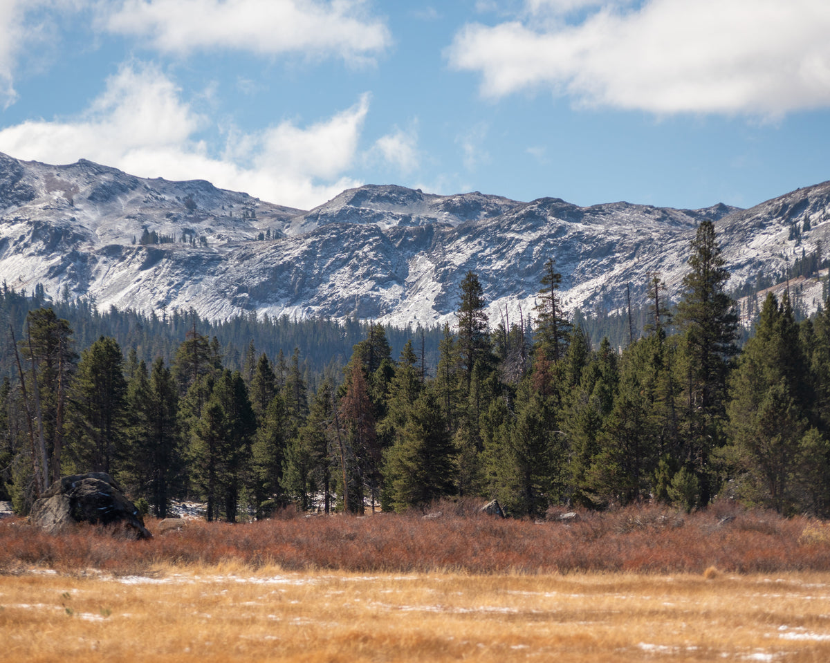 How California 89 Supports the Tahoe Fund and Mountain Area Preservation