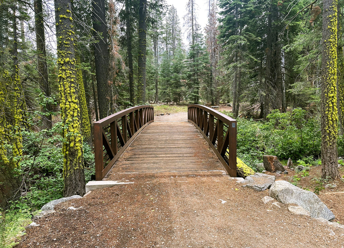 Sugar Pine Point Trail: A California 89 Bike Guide