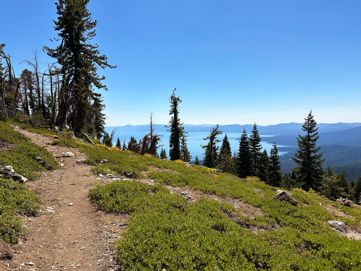Tahoe Rim Trail - 267 to Mount Baldy: A California 89 Bike Guide