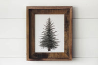 Framed 8 x 10 Evergreen Print