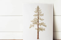 8 x 10 Jeffrey Pine Print