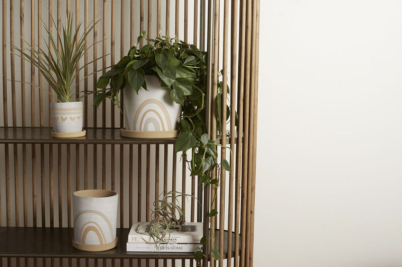 Plants, Planters & Macrame