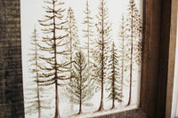 Framed 8 x 10 Pine Trees Print