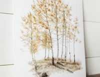 8 x 10 Aspens Print