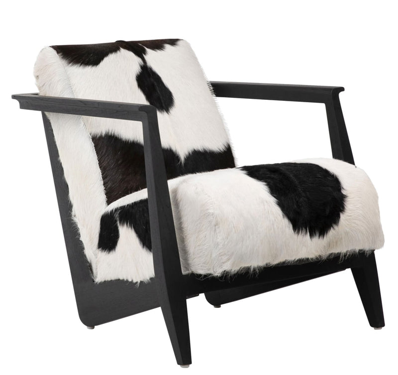 Furniture & Rugs