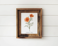 8 x 10 California Poppy Print