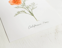 Framed 8x10 California Poppy Print | California 89