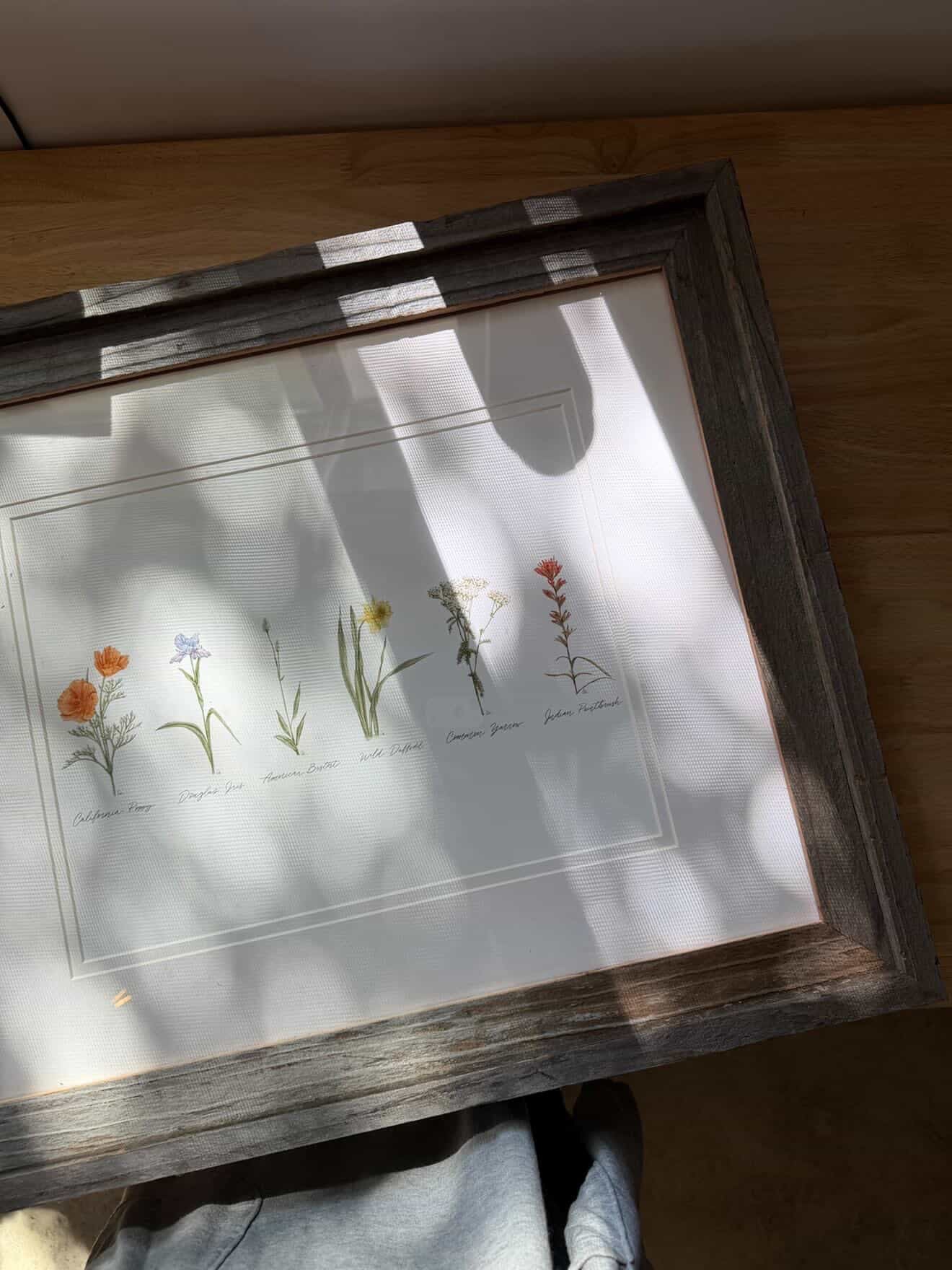 11x14 Collection of Wildflowers Watercolor Print | California 89