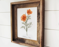 8 x 10 California Poppy Print
