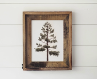 Framed 11x14 Lodgepole Pine Print | California 89