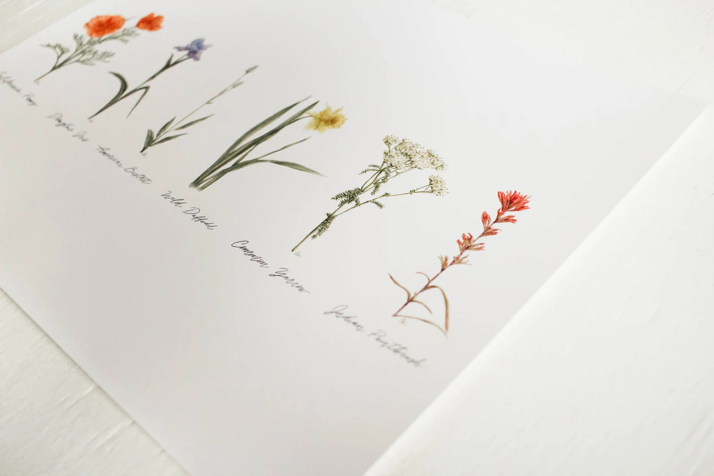 Framed 8x10 Collection of Wildflowers Print | California 89