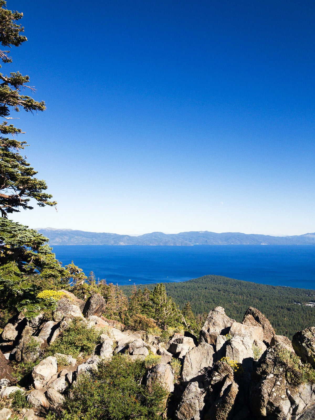 Mount Watson Peak Road: A California 89 Bike Guide