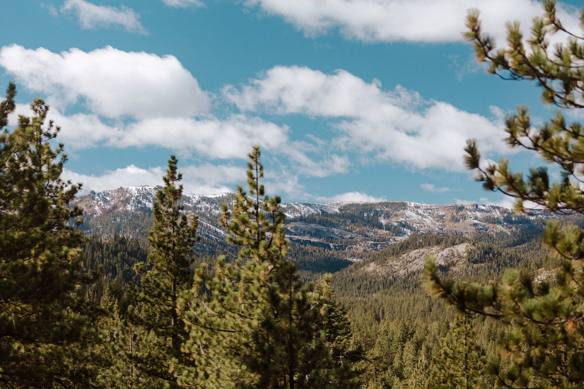 Donkey Town Trail: A California 89 Bike Guide