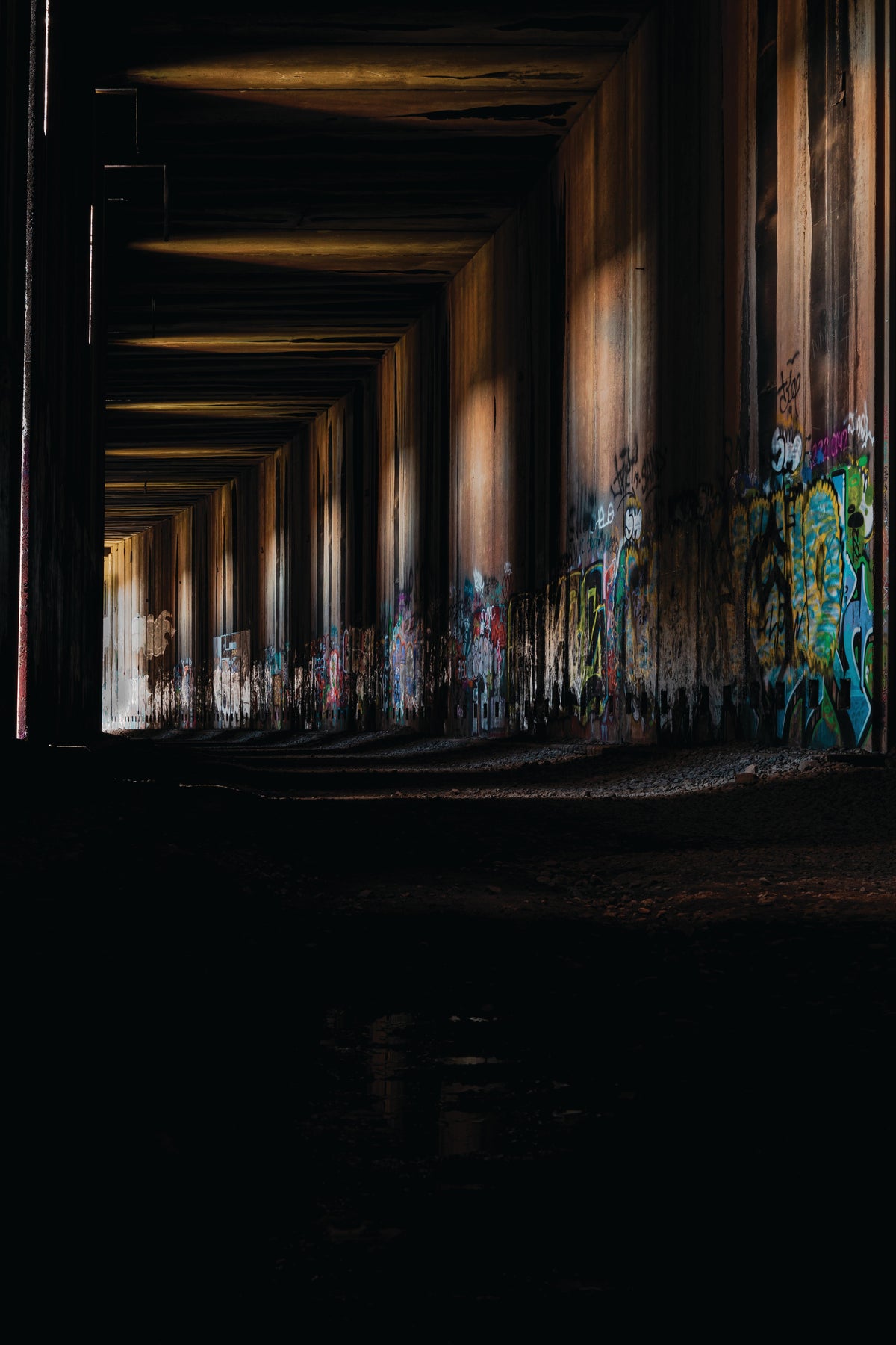Donner Tunnels: A California 89 Hike Guide