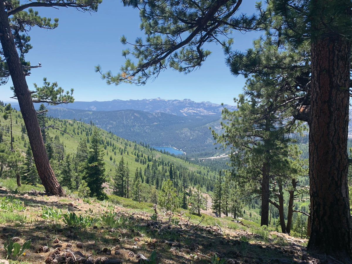 Johnson Canyon Overlook: A California 89 Hike Guide