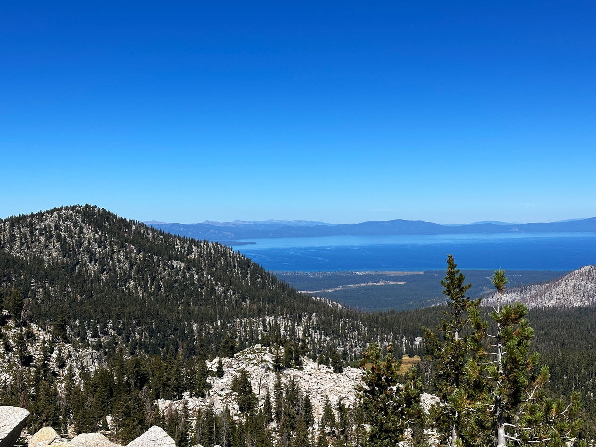 Mr. Toad's Wild Ride: A California 89 Bike Guide