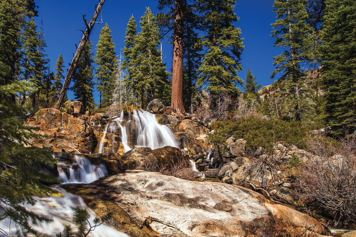 Shirley Canyon Trail: A California 89 Hike Guide