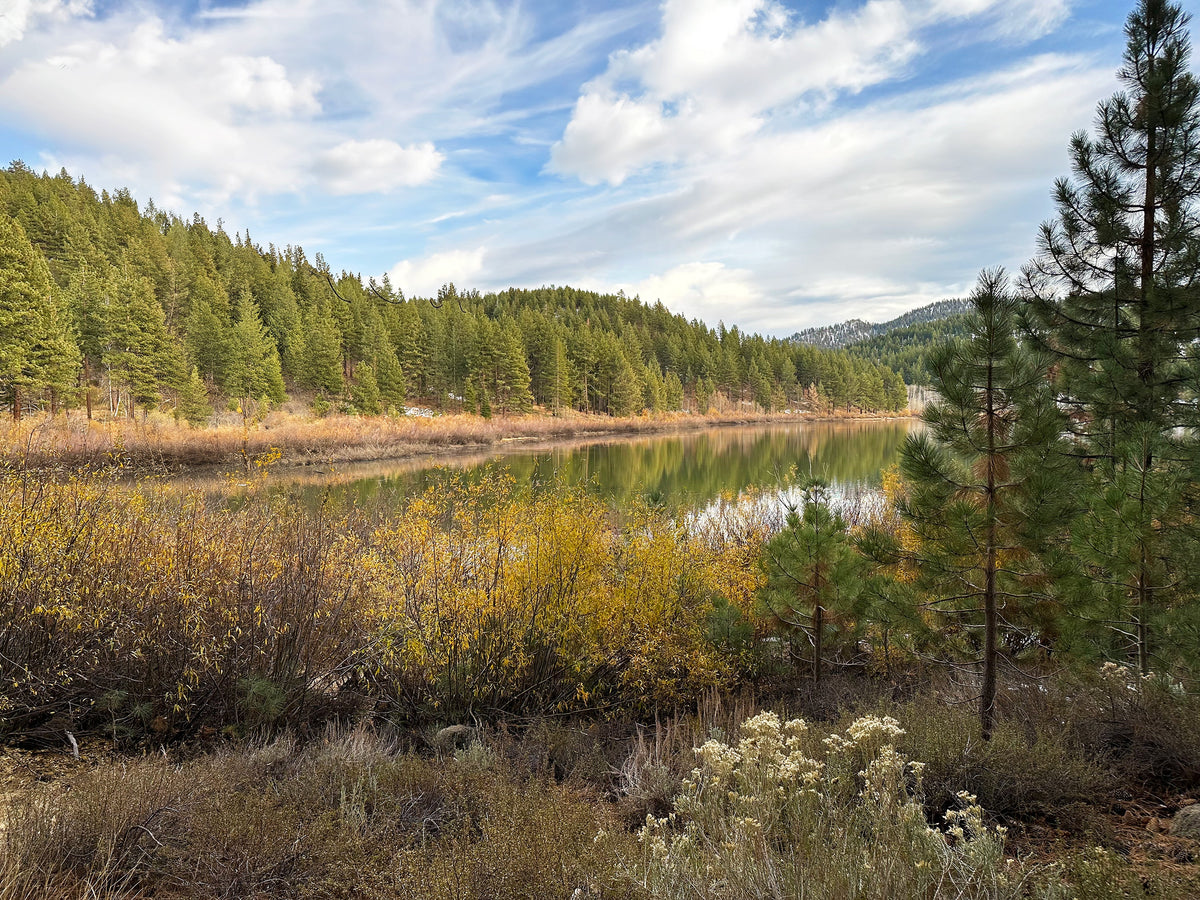 Spooner Lake Trail: A California 89 Bike Guide