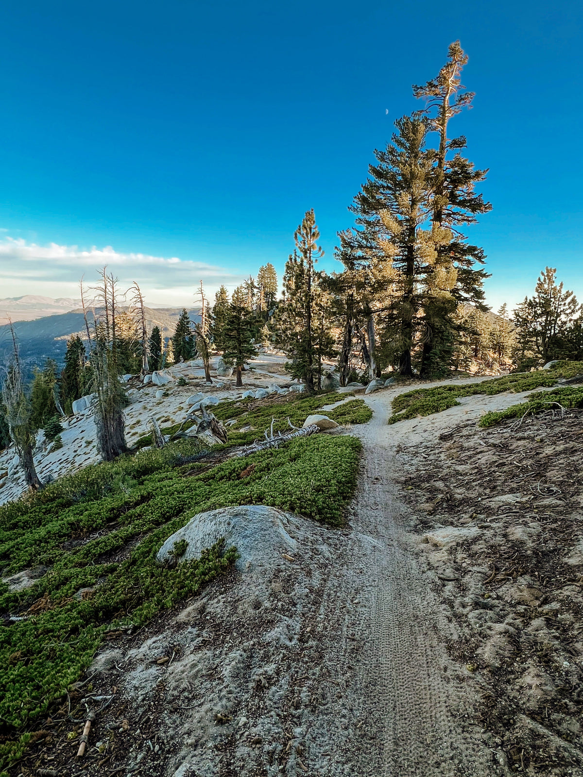 Tahoe Rim Trail - Mount Rose to Tunnel: A California 89 Bike Guide