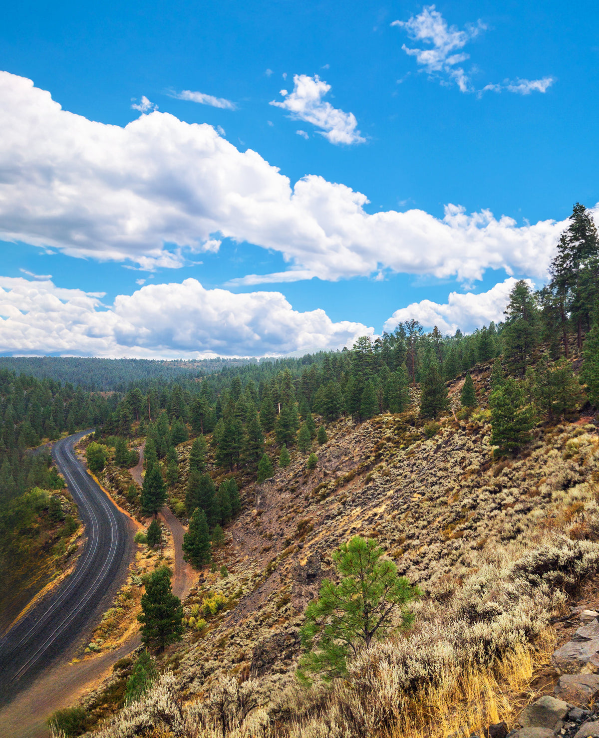 Tahoe Pyramid Trail: A California 89 Bike Guide
