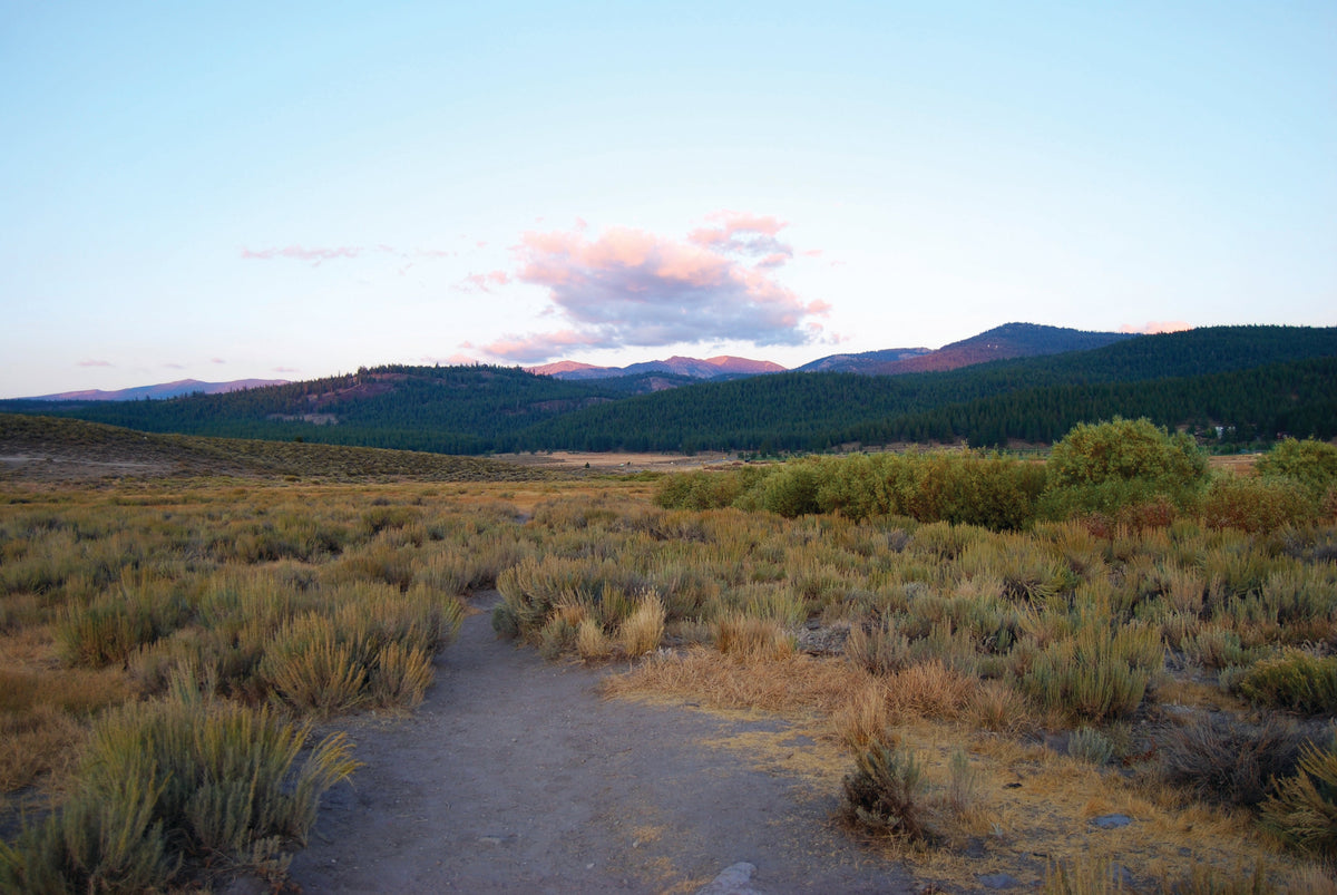 Tompkins Trail Loop: A California 89 Hike Guide