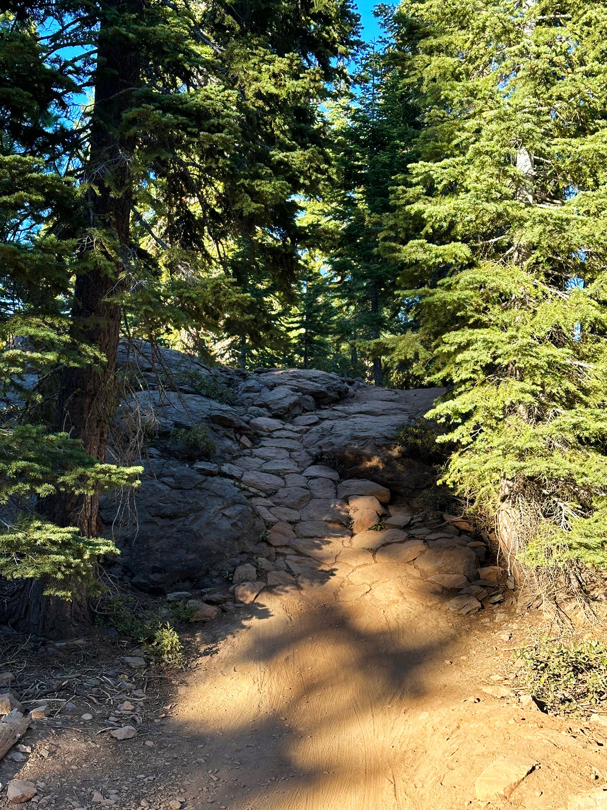 Woodsplitter to Happy Face: A California 89 Bike Guide