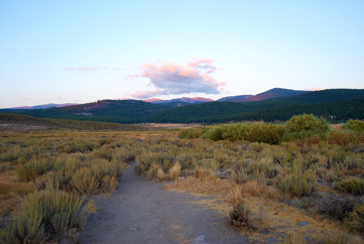 CA89 Hike Cards: Week 4 of Our Shared Adventures