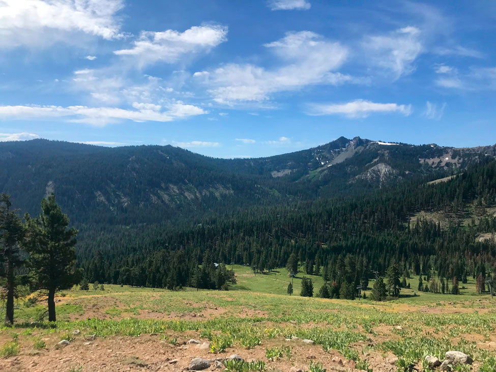 California 89 Hike of the Week - Top of Alpine Meadows