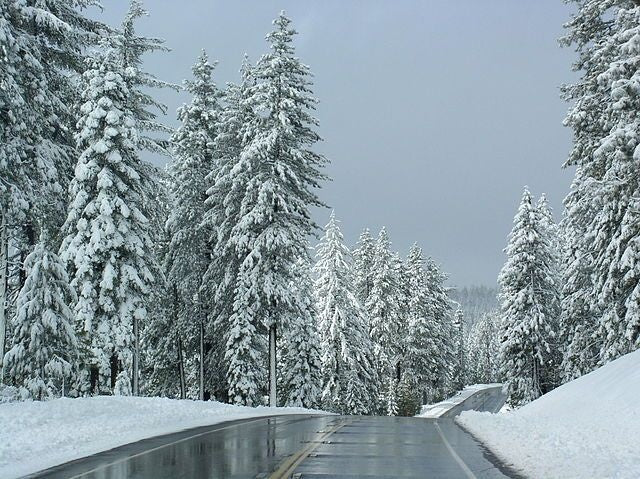 California’s Skiers’ Highway