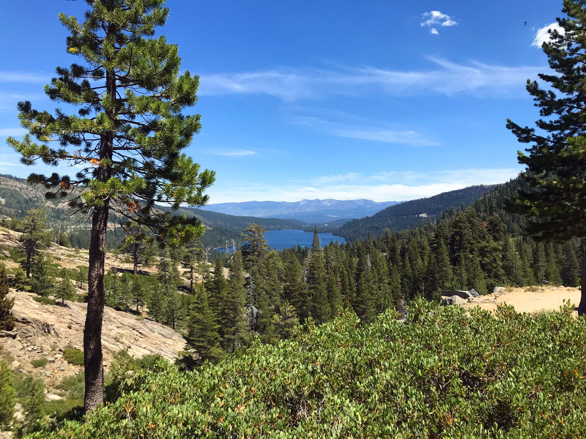 California 89 Hike of the Week - Donner Summit Canyon