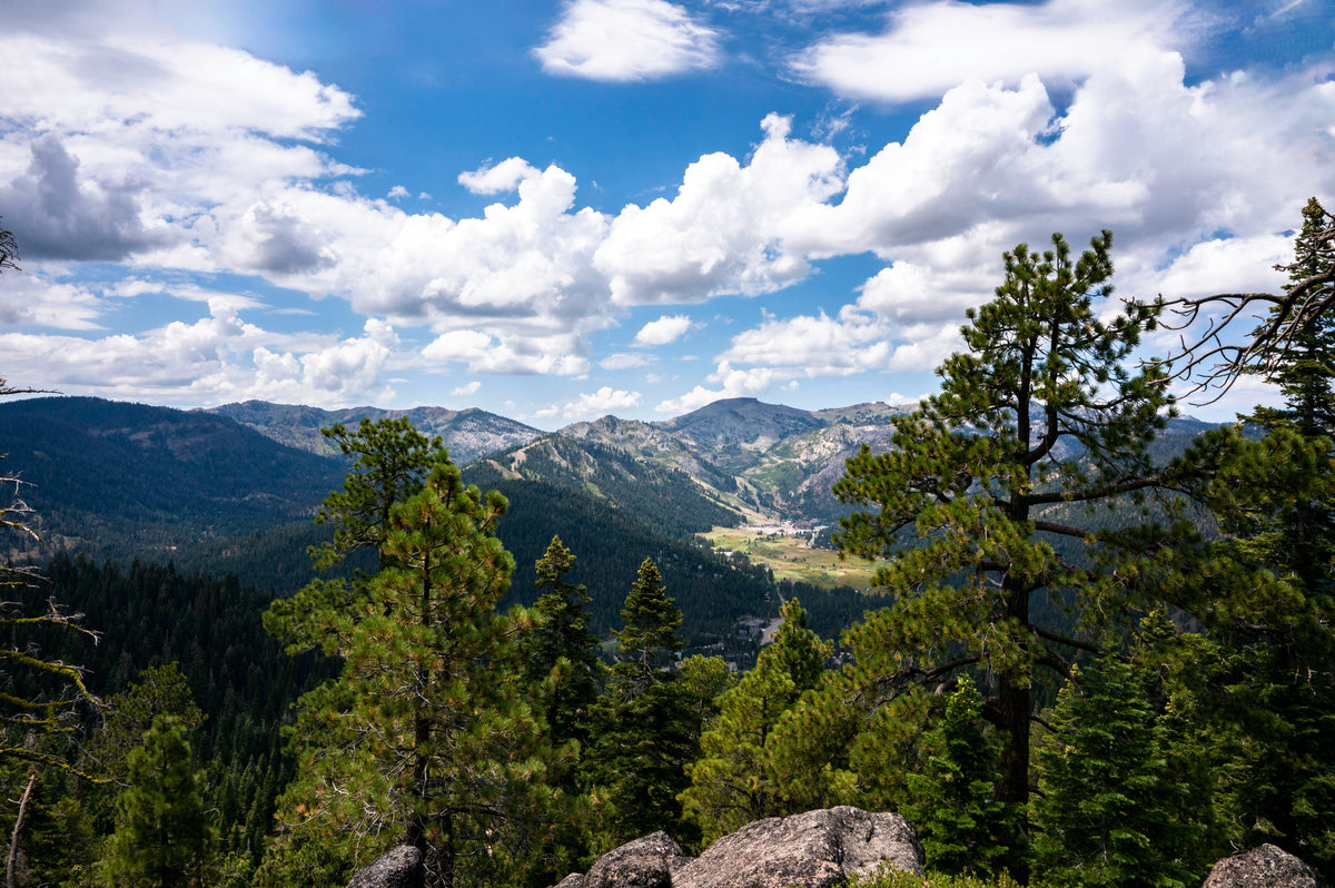 Western States Trail to Painted Rock: A California 89 Bike Guide