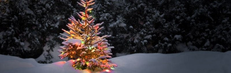 Things To Do In Lake Tahoe with Holiday Guests
