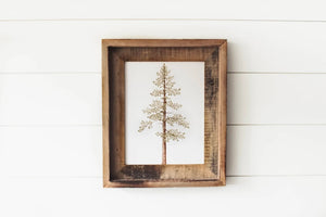 Framed 11 x 14 Jeffrey Pine Print