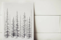 8 x 10 Sketched Pine Trees Print
