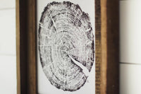 11 x 14 Tree Ring Print