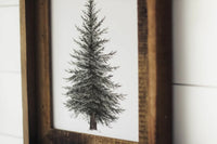 8 x 10 Evergreen Print