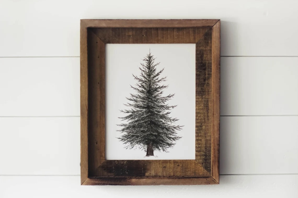 Framed 11 x 14 Evergreen Print