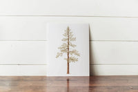 11 x 14 Jeffrey Pine Print