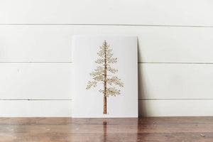 11 x 14 Jeffrey Pine Print