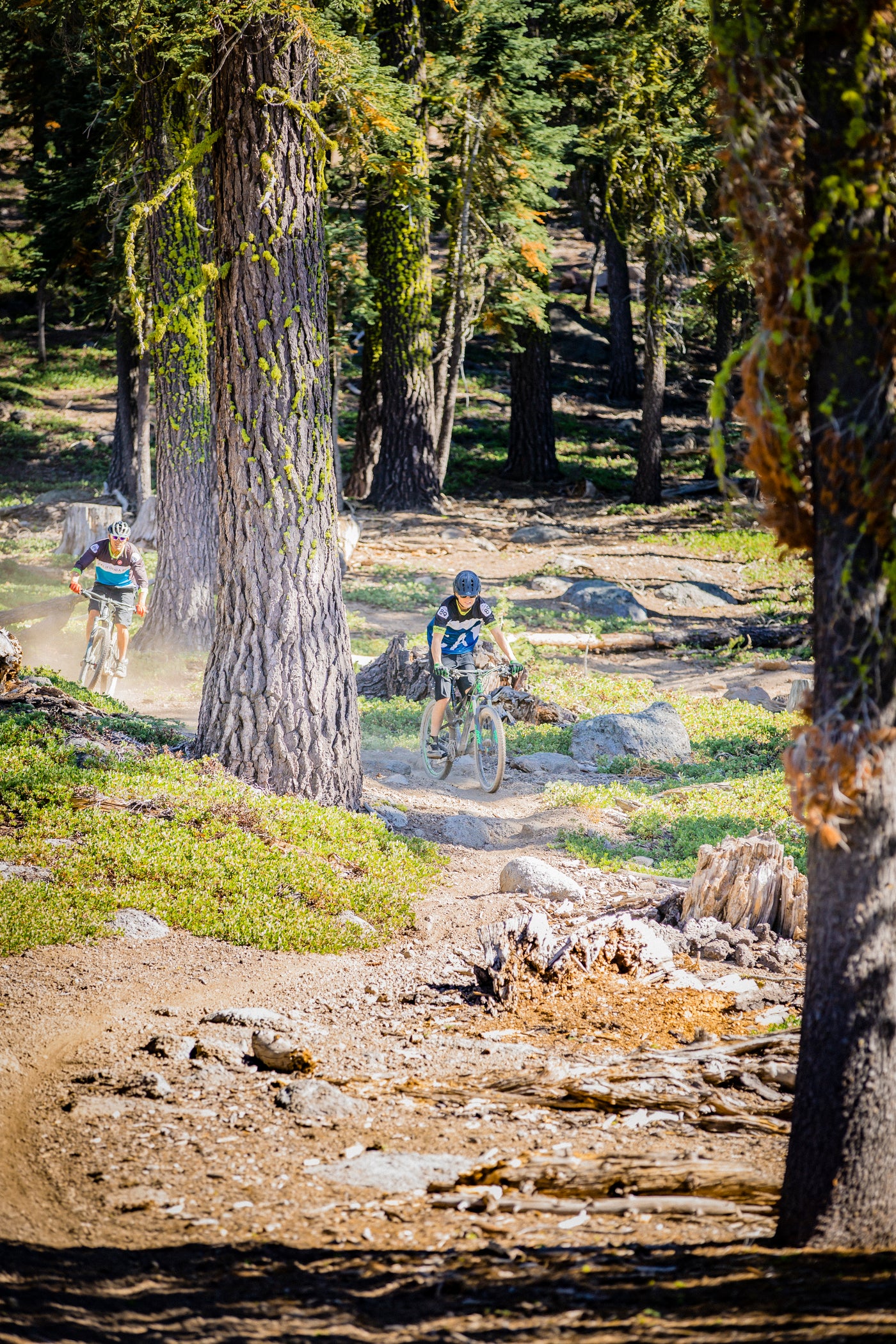 Trailhead