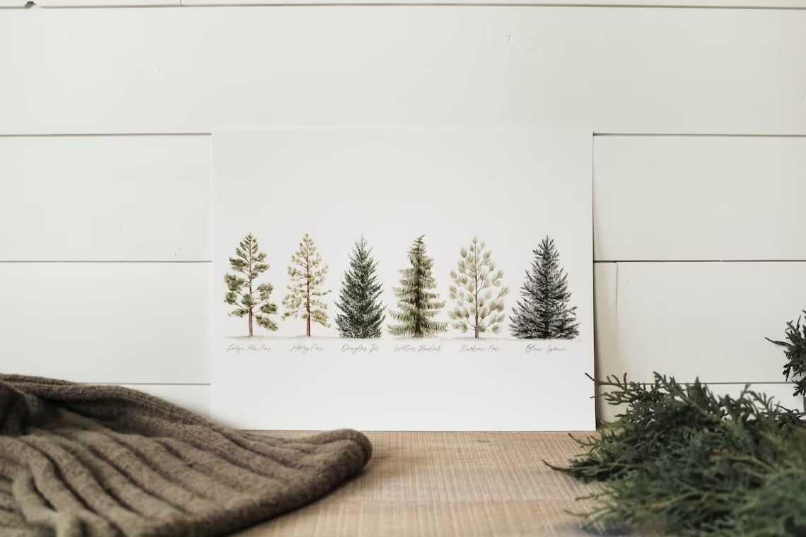8 x 10 Collection of Evergreens Print