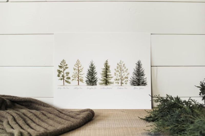 8 x 10 Collection of Evergreens Print