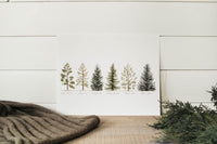 11 x 14 Collection of Evergreens Print