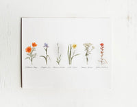 8x10 Collection of Wildflowers Watercolor Print | California 89