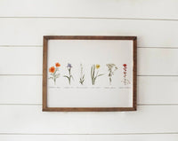 11x14 Collection of Wildflowers Watercolor Print | California 89