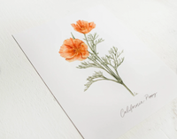 Framed 8x10 California Poppy Print | California 89