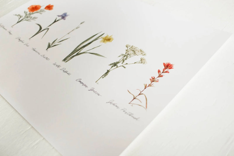 8x10 Collection of Wildflowers Watercolor Print | California 89