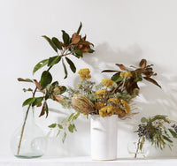 Dried Banksia Set of 3 | California 89