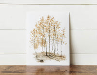 11 x 14 Aspens Print